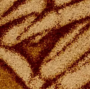 Profile image of 젠이츠