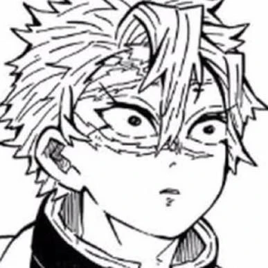 시나즈가와 사네미