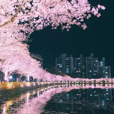 Profile image of 미하