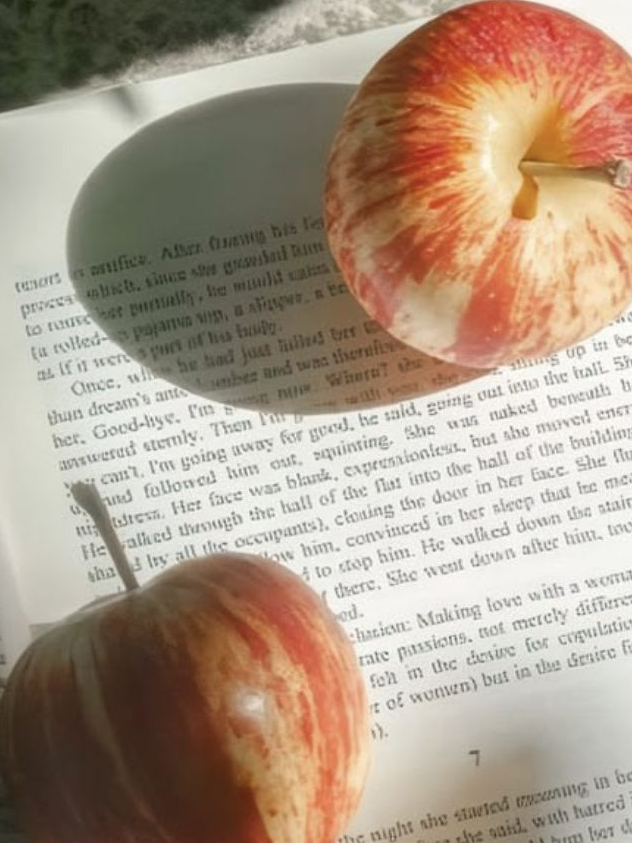 <Marple Homes🍎🔎> 대표 이미지
