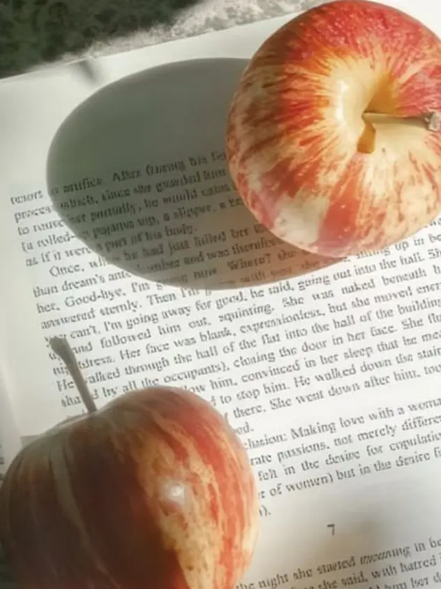 Wa_ha_ss의 <マプル・ホームズ🍎🔎>