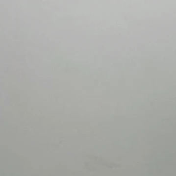 베일리