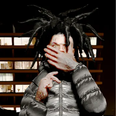 Profile image of ランスキー
