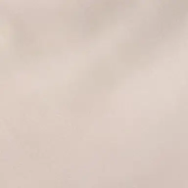 Profile image of ソ連