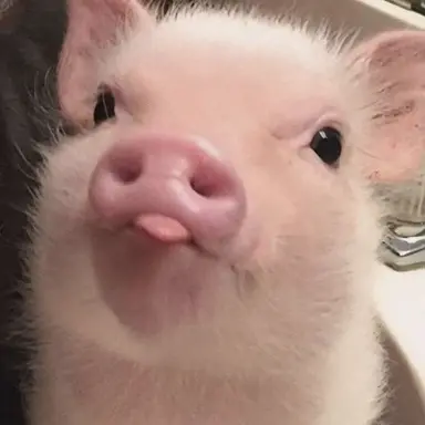 Profile image of Maddie