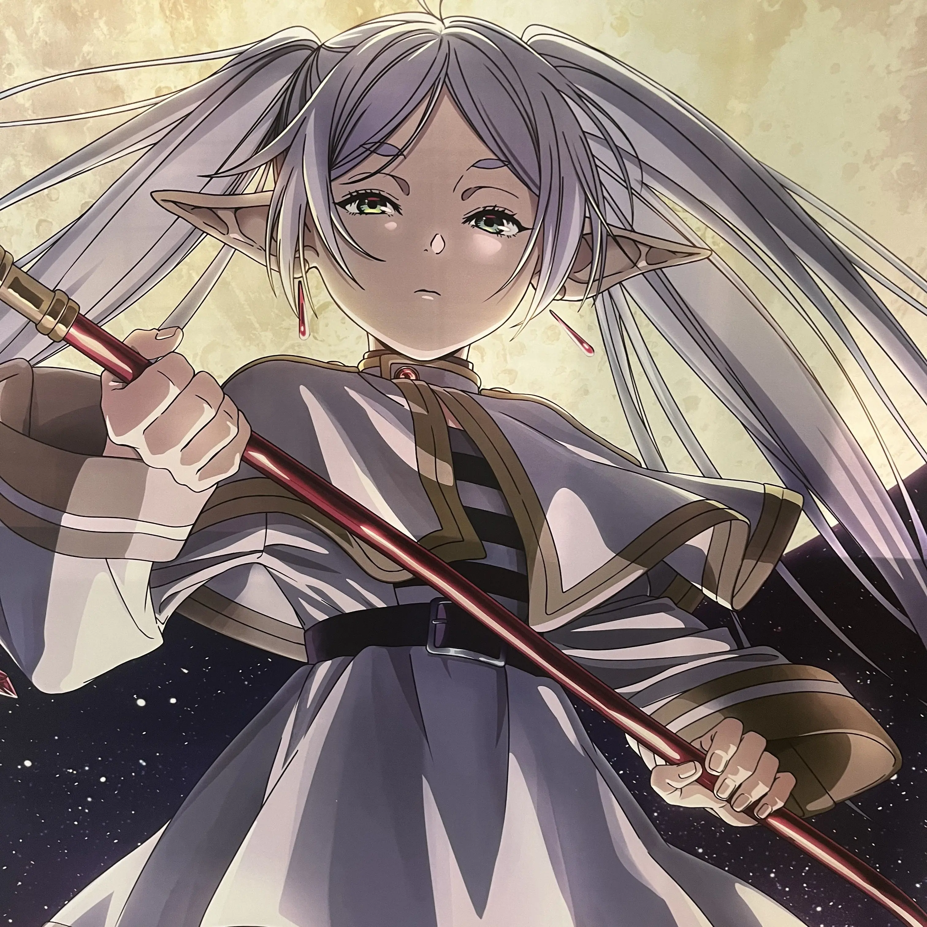 NutmegMenu6160의 뜰팁아이돌