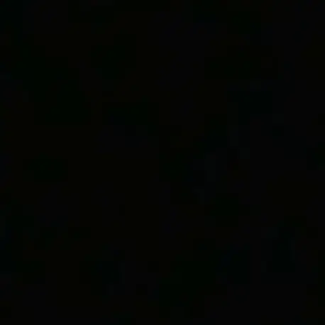 Felix_의 한지성