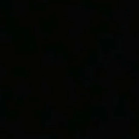 한지성
