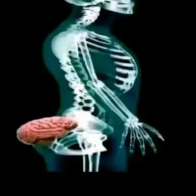Profile image of Dr.blue