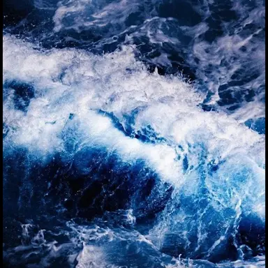 Profile image of 하카