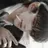 문하진