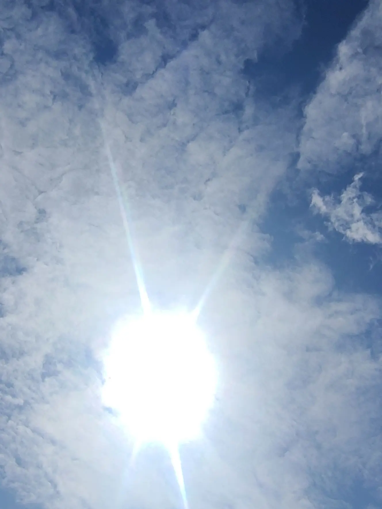 MyQuaxly의 내가할려만든 공포Ai 도서관 탈출