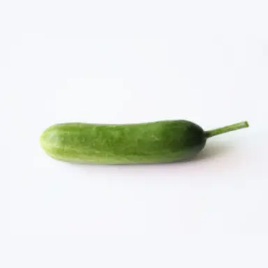 Profile image of 오이