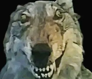 Profile image of 덕늑대