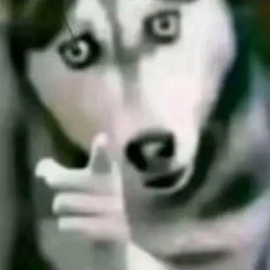 Profile image of 덕늑대