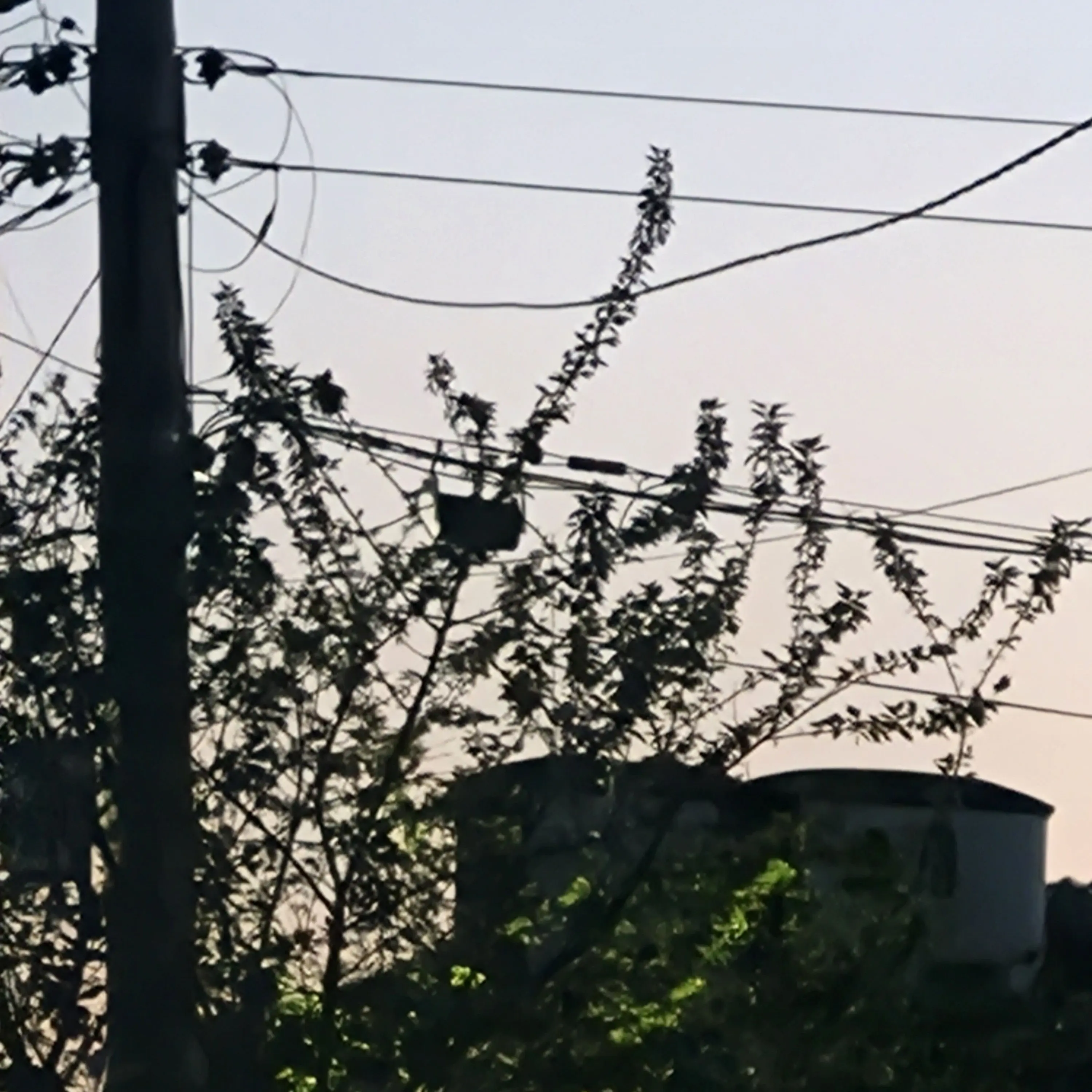 135700wewe의 내가 환생?