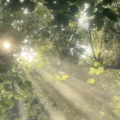 Profile image of 황수현