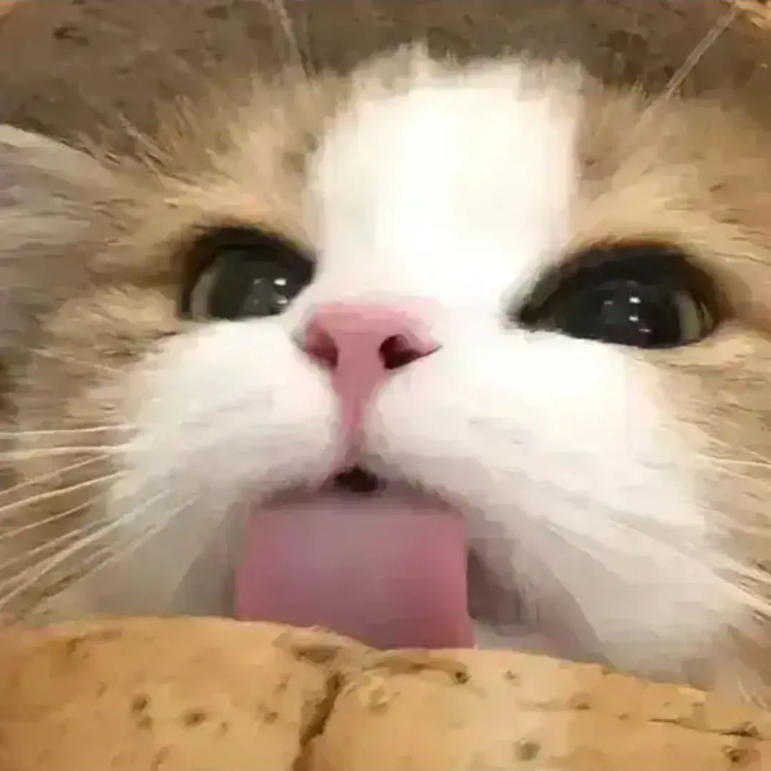 ArdentYarn8632의 P.C.Y