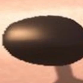 김누아