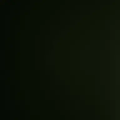 Profile image of 멍재현