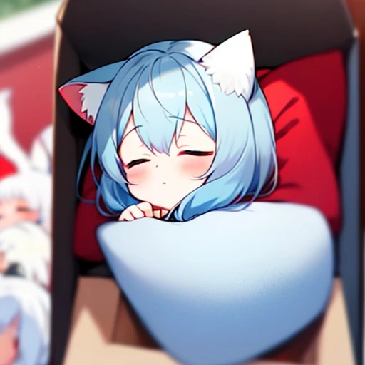 새끼고양이 수인 하요