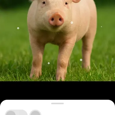 Profile image of 팀큐브 플러스대석