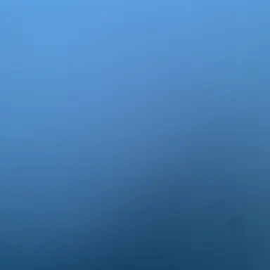 Profile image of 정형준