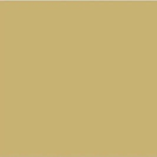 AgedStem6457의 지영현