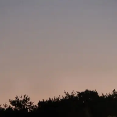 Profile image of 친구