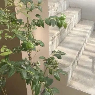 Profile image of 김성민