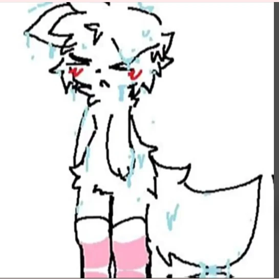 마우지
