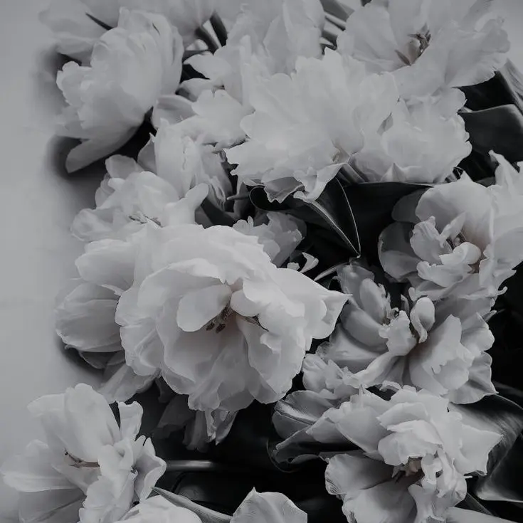 StableYen8787의 시미베, 쪼만 [ 귀찮은 동거인 ]