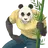 고힌 (판다선생)
