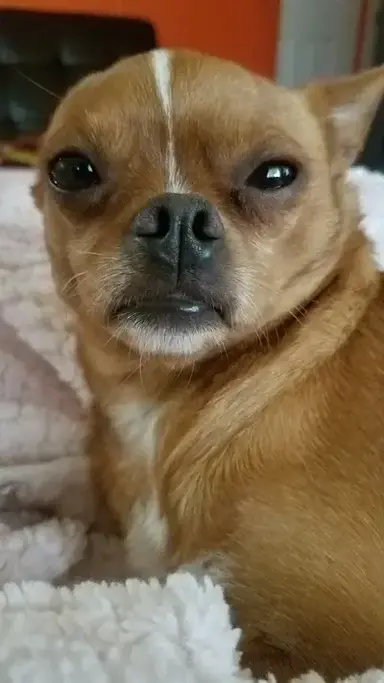 Profile image of Rina