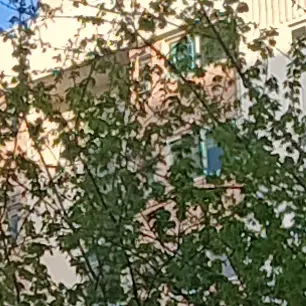 Profile image of 권 율