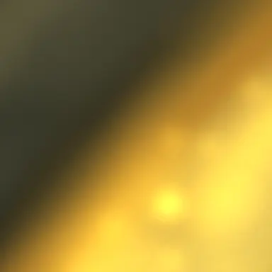 Profile image of 진림