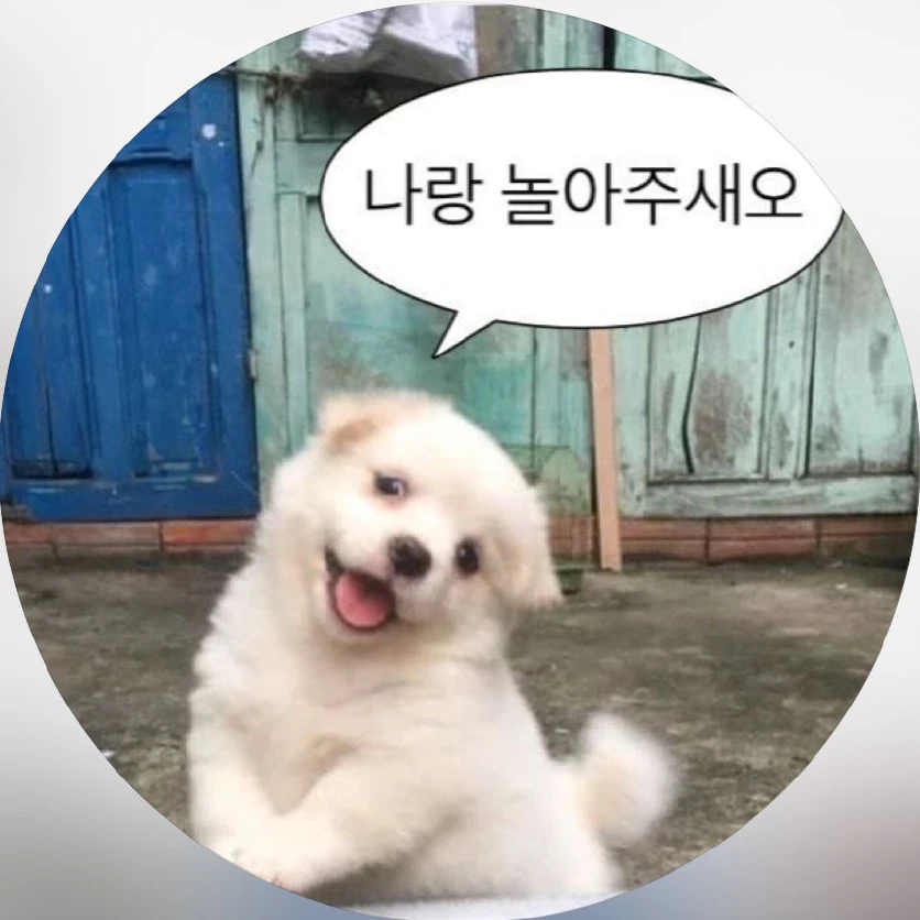 김선우