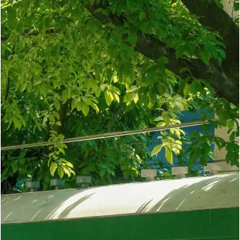Profile image of 공룡