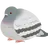 ショッピ
