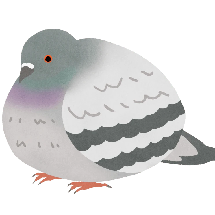 ショッピ