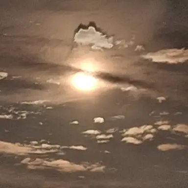 Profile image of 보플 멤버들