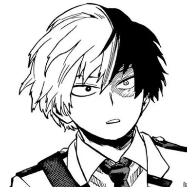 Profile image of Shoto Todoroki