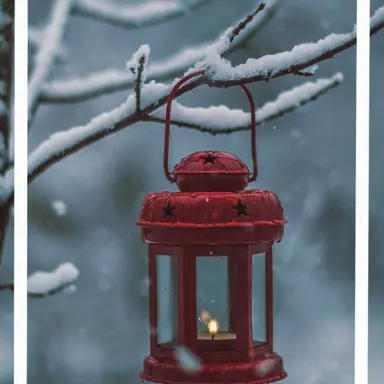 Profile image of 박겨울