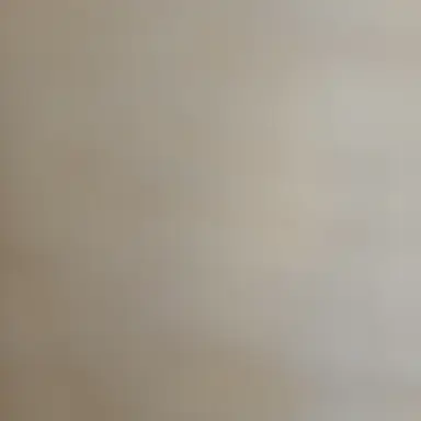 Profile image of EXIT