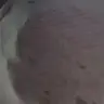 Profile image of 실수로 넣어버렸다ㅠ