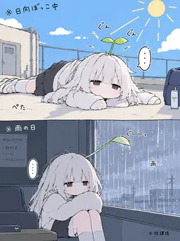 Profile image of 未空