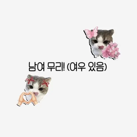 OH7I_SOHYUN의 남녀 무리 (+여우)