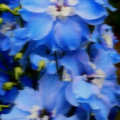 Profile image of 각별