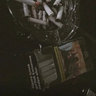 Profile image of 토우