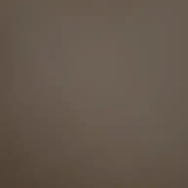 Profile image of 엔폭